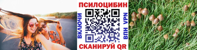 хочу наркоту  Вольск  Галлюциногенные грибы ЛСД 
