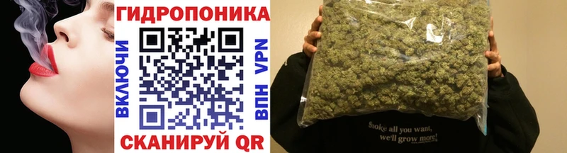 Шишки марихуана THC 21%  Вольск 