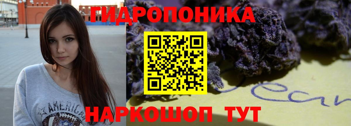 Канабис план  Бошки марихуана семена  Вход с VPN  Вольск  МАРИХУАНА тримм 
